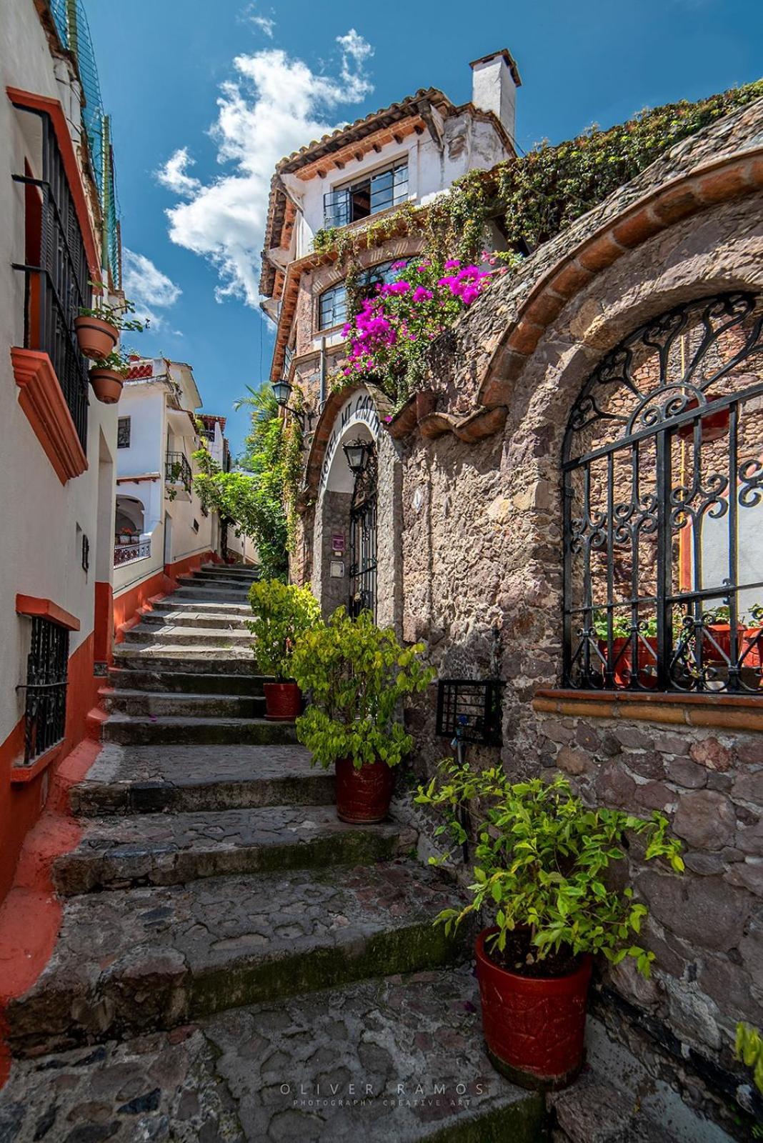 Mi Casita